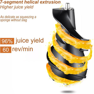 300W Slow Masticating Juice